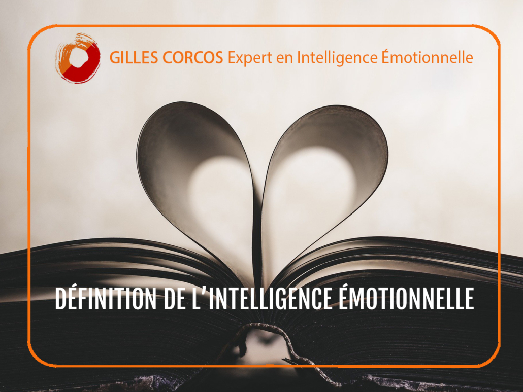 Définition de l intelligence émotionnelle